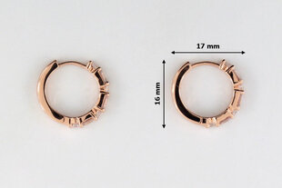 Paauksuoti sidabriniai auskarai moterims Brasco 55821 kaina ir informacija | Auskarai | pigu.lt