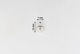 Серебряная подвеска с цирконом и эмалью "Сердце" Brasco 55963 55963 цена и информация | Украшения на шею | pigu.lt