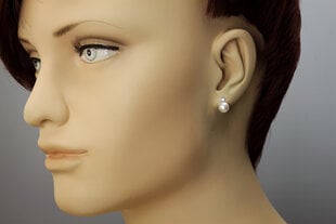 Sidabriniai auskarai su perlais ir cirkoniais Brasco 54024 kaina ir informacija | Auskarai | pigu.lt