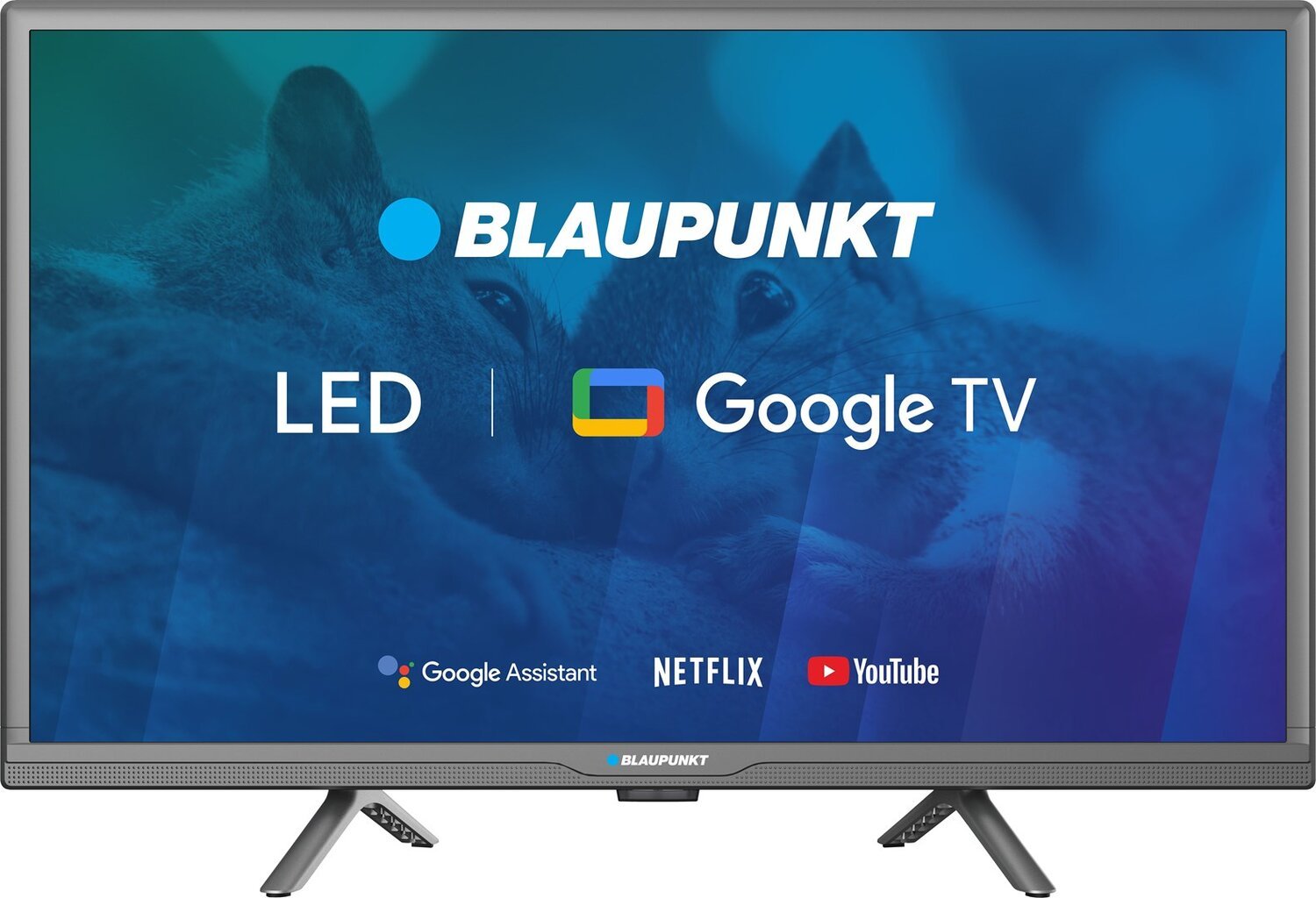 Blaupunkt 24HBG5000S цена и информация | Televizoriai | pigu.lt