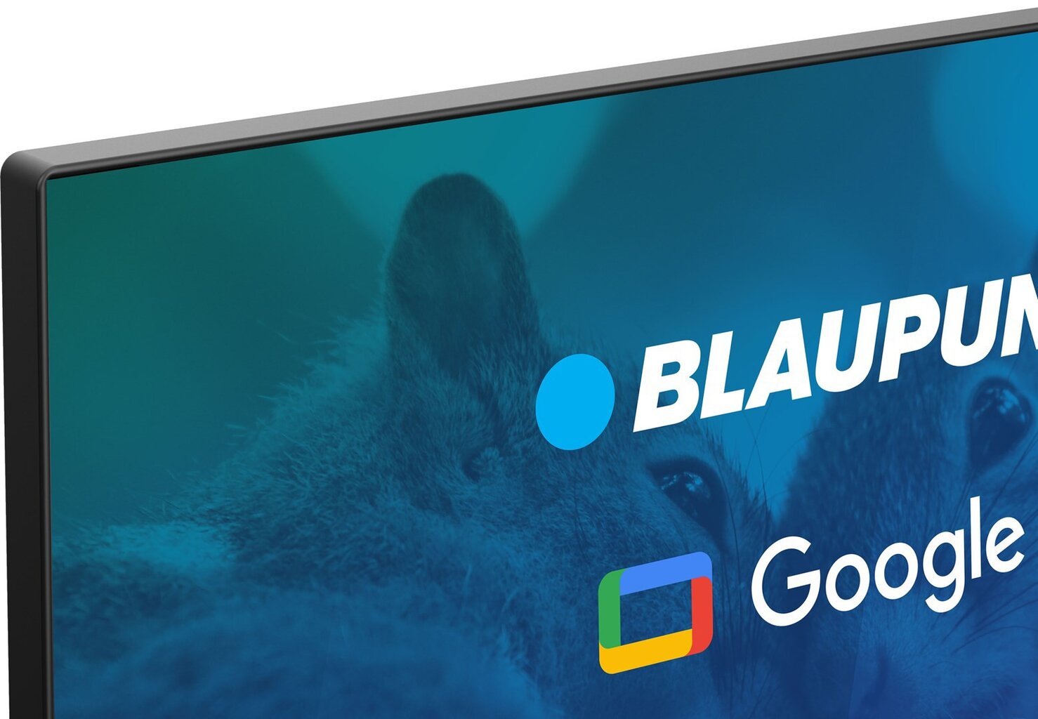 Blaupunkt 32FBG5000S kaina ir informacija | Televizoriai | pigu.lt