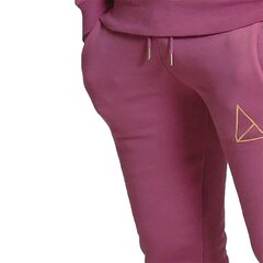 Kelnės vyrams Golden Equation, violetinės цена и информация | Мужская спортивная одежда | pigu.lt