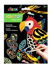 Nutrinamų kortelių rinkinys Avenir 4 stebuklingi paukščiai цена и информация | Развивающие игрушки | pigu.lt