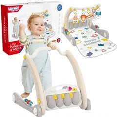 Lavinamasis kilimėlis kūdikiams Woopie kaina ir informacija | Žaislai kūdikiams | pigu.lt