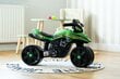 Paspiriamas motociklas Falk, žalias kaina ir informacija | Žaislai kūdikiams | pigu.lt