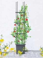 Vazonas su atrama Tomato Tube, 8x28x148 cm kaina ir informacija | Vazonai | pigu.lt