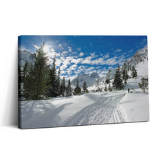 Reprodukcija Kalnų peizažas žiemą kaina ir informacija | Reprodukcijos, paveikslai | pigu.lt