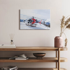 Reprodukcija Sraigtasparnis ant sniego pusnys kaina ir informacija | Reprodukcijos, paveikslai | pigu.lt