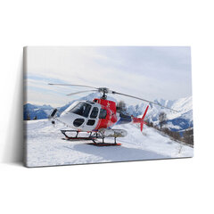 Reprodukcija Sraigtasparnis ant sniego pusnys цена и информация | Репродукции, картины | pigu.lt