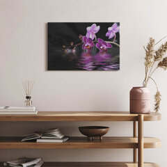 Reprodukcija Rožinė orchidėjos gėlė ant vandens kaina ir informacija | Reprodukcijos, paveikslai | pigu.lt
