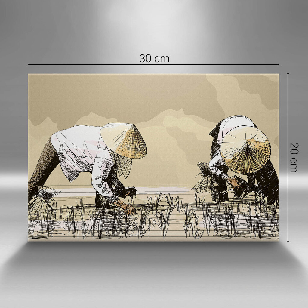 Reprodukcija Dvi moterys, skinančios ryžius Azijoje kaina ir informacija | Reprodukcijos, paveikslai | pigu.lt