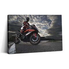 Reprodukcija Vyras ant motociklo kaina ir informacija | Reprodukcijos, paveikslai | pigu.lt
