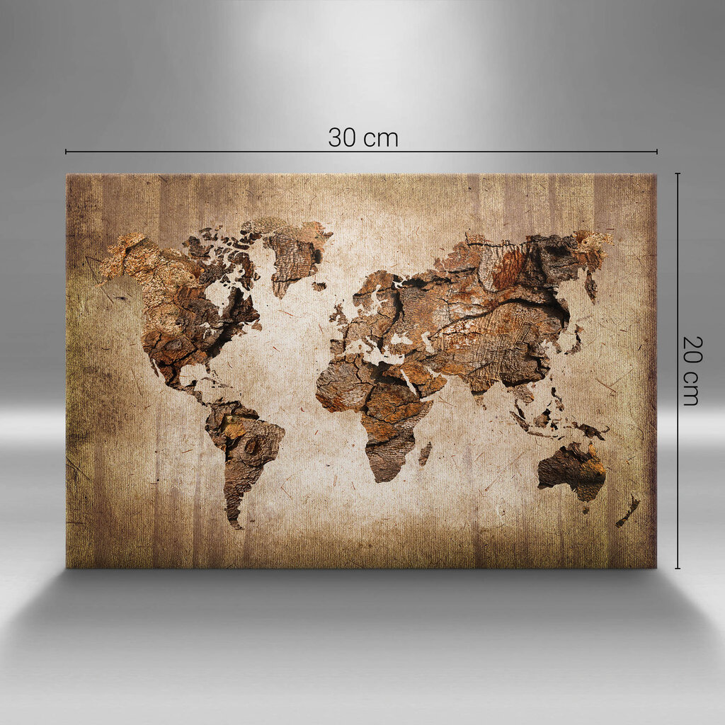 Reprodukcija Pasaulio žemėlapis pagamintas iš medžio цена и информация | Reprodukcijos, paveikslai | pigu.lt