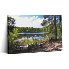 Reprodukcija Vaizdas į ežerą miške kaina ir informacija | Reprodukcijos, paveikslai | pigu.lt