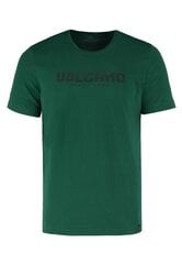 Marškinėliai vyrams Volcano, žali kaina ir informacija | Vyriški marškinėliai | pigu.lt