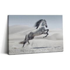 Reprodukcija Šuoliais baltas arklys kaina ir informacija | Reprodukcijos, paveikslai | pigu.lt