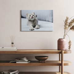 Reprodukcija Žavingas kačiukas ant sofos kaina ir informacija | Reprodukcijos, paveikslai | pigu.lt