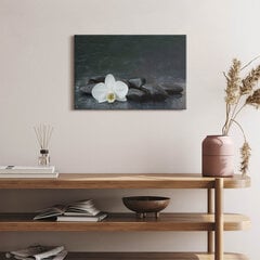Reprodukcija Baltos gėlės Zen akmenys kaina ir informacija | Reprodukcijos, paveikslai | pigu.lt