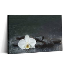 Reprodukcija Baltos gėlės Zen akmenys цена и информация | Репродукции, картины | pigu.lt