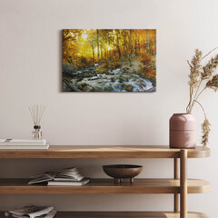 Картина из закаленного стекла Осенний лес цена и информация | Репродукции, картины | pigu.lt
