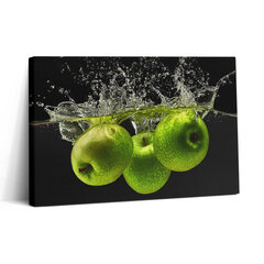 Reprodukcija Žalieji obuoliai vandenyje kaina ir informacija | Reprodukcijos, paveikslai | pigu.lt