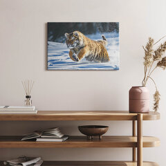 Reprodukcija Pūkuotas tigras sniege kaina ir informacija | Reprodukcijos, paveikslai | pigu.lt