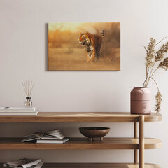 Reprodukcija Laukinis tigras medžioklėje kaina ir informacija | Reprodukcijos, paveikslai | pigu.lt