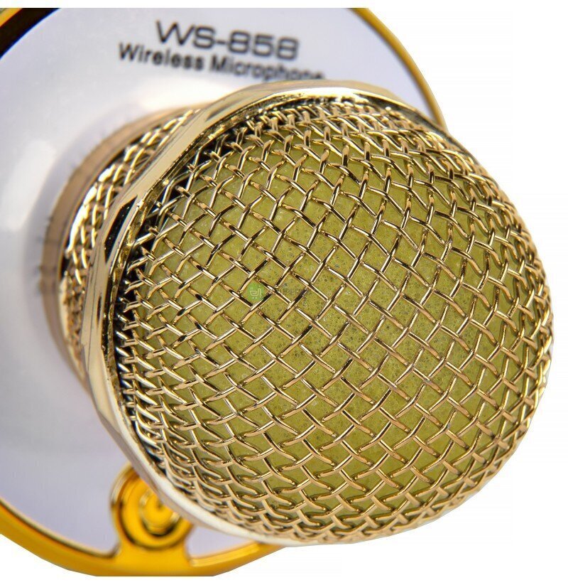 Karaoke mikrofonas Berimax W88-3 įkraunamas цена и информация | Mikrofonai | pigu.lt