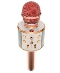 Микрофон для караоке с эффектами изменения голоса WS-858 цена и информация | Микрофоны | pigu.lt