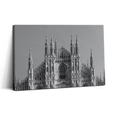 Reprodukcija Duomo Di Milano katedra Romoje цена и информация | Репродукции, картины | pigu.lt