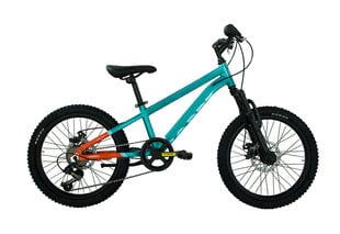 Vaikiškas dviratis Coppi Mtb 20", mėlynas kaina ir informacija | Dviračiai | pigu.lt