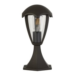 Searchlight уличный декоративный светильник Bluebell 57892-300, 1 шт. цена и информация | Уличные светильники | pigu.lt