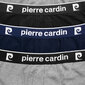 Trumpikės vyrams Pierre Cardin, įvairių spalvų, 9 vnt. kaina ir informacija | Trumpikės | pigu.lt