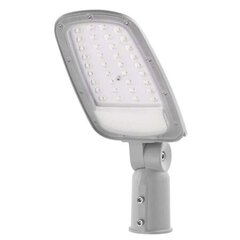 LED gatvės šviestuvas SOLIS 30W 3600lm NW kaina ir informacija | Lauko šviestuvai | pigu.lt