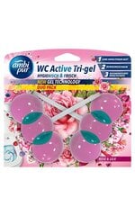 Освежитель для туалета Ambi Pur WC Active Tri-gel, 2х45 г цена и информация | Очистители | pigu.lt