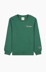 Džemperis berniukams Champion 306162-GS568, žalias kaina ir informacija | Megztiniai, bluzonai, švarkai berniukams | pigu.lt
