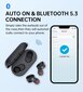 Belaidės ausinės Choetech BH-T16 Hi-Fi Bean TWS juodos kaina ir informacija | Ausinės | pigu.lt