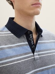 Tom Tailor мужская футболка- поло 1040917*35040, синий/серый 4067672254380 цена и информация | Мужские футболки | pigu.lt