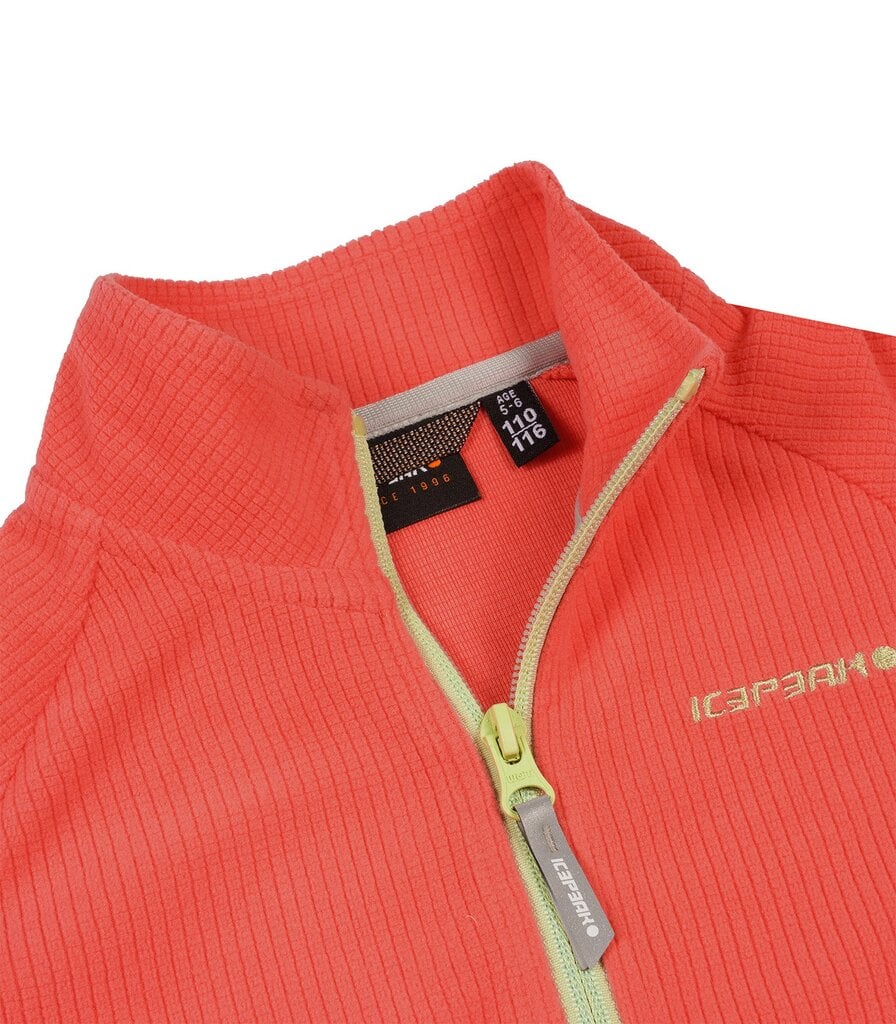 Icepeak džemperis moterims 5183676, oranžinis kaina ir informacija | Megztiniai, bluzonai, švarkai mergaitėms | pigu.lt