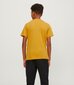 Marškinėliai vaikams Jack & Jones Junior 12237367, geltoni kaina ir informacija | Marškinėliai berniukams | pigu.lt