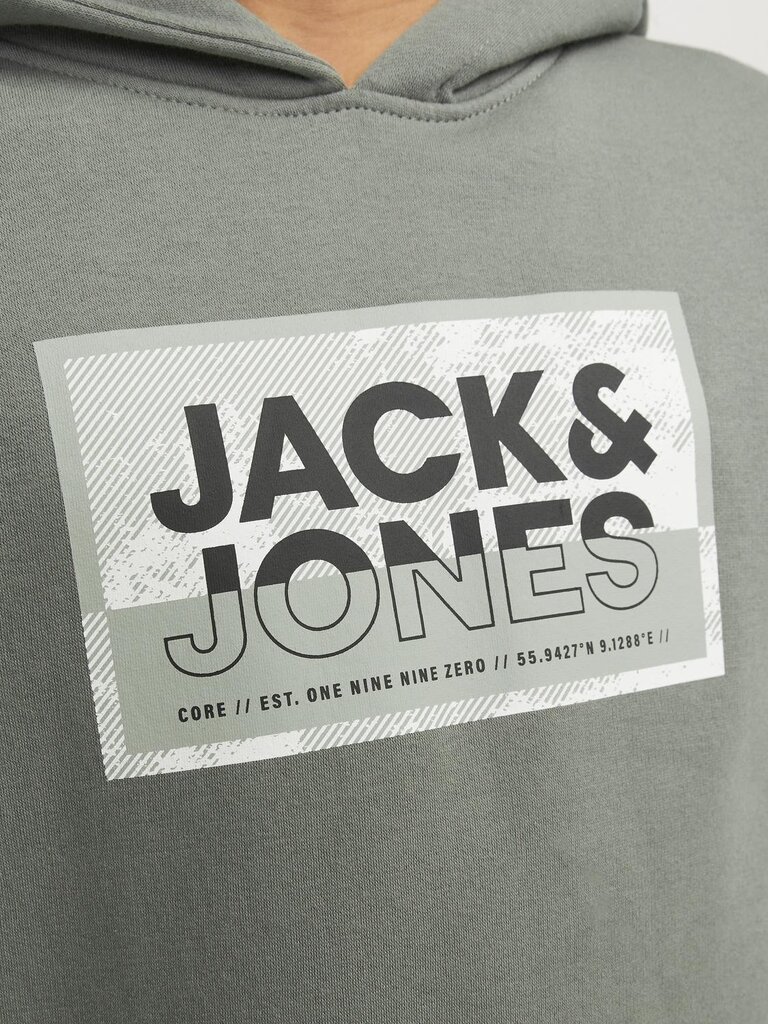 Bluzonas berniukams Jack & Jones Junior 12254120, žalias kaina ir informacija | Megztiniai, bluzonai, švarkai berniukams | pigu.lt