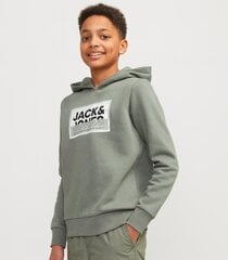 Bluzonas berniukams Jack & Jones Junior 12254120, žalias kaina ir informacija | Megztiniai, bluzonai, švarkai berniukams | pigu.lt