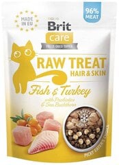 Brit Care Raw Treat Hair&Skin su žuvimi ir kalakutiena, 40 g kaina ir informacija | Skanėstai katėms | pigu.lt