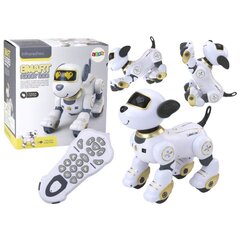 Nuotoliniu būdu valdomas interaktyvus šuo - robotas Lean Toys, auksinis/baltas цена и информация | Игрушки для мальчиков | pigu.lt