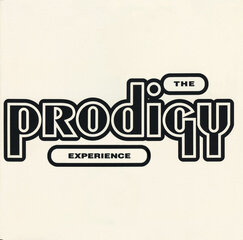 Vinilinė plokštelė The Prodigy Experience kaina ir informacija | Vinilinės plokštelės, CD, DVD | pigu.lt