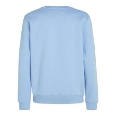 Megztinis vyrams Tommy Hilfiger Jeans 88249, mėlynas kaina ir informacija | Vyriški marškinėliai | pigu.lt
