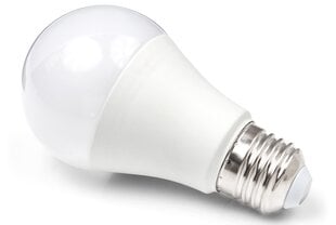 LED lemputė E27 16W - Šaltai balta (6000K) kaina ir informacija | Elektros lemputės | pigu.lt