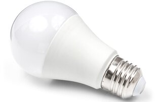 LED lemputė E27 10W, šaltai balta (6000K) kaina ir informacija | Elektros lemputės | pigu.lt