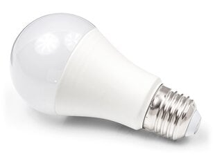 LED lemputė E27 15W, šaltai balta (6000K) kaina ir informacija | Eco Light Santechnika, remontas, šildymas | pigu.lt