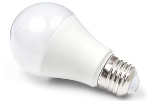 LED lemputė E27 15W, šaltai balta (6000K) kaina ir informacija | Elektros lemputės | pigu.lt